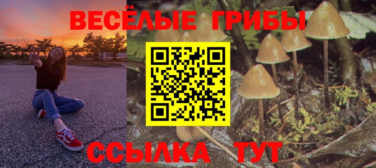 Галлюциногенные грибы MAGIC MUSHROOMS Люберцы